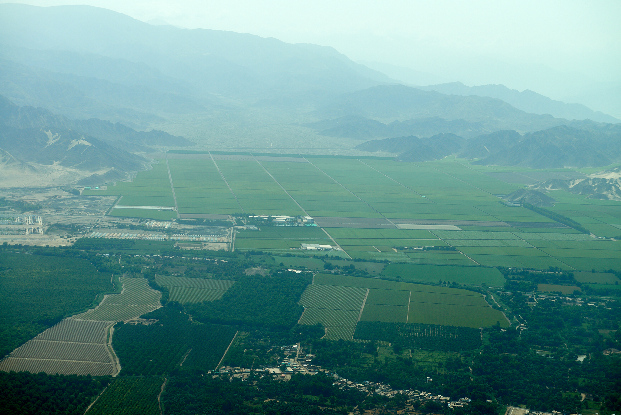 20200305 233 [페루] 나스카 라인